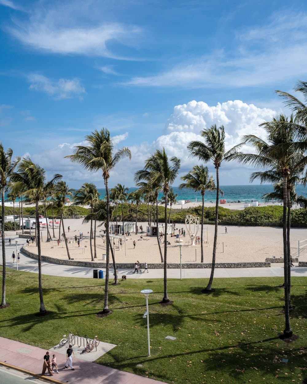 View from the Pelican Hotel rooftop over the palm trees of Lummus Park to the beach and the ocean, Miami Beach